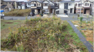 サムネイル：